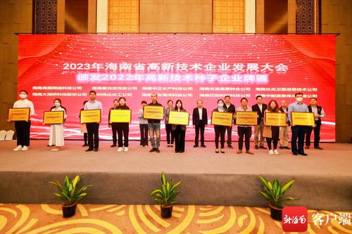 科技自貿港的轉型號角 從2023年海南省高新技術企業發展大會看海口信息技術咨詢服務的躍遷機遇